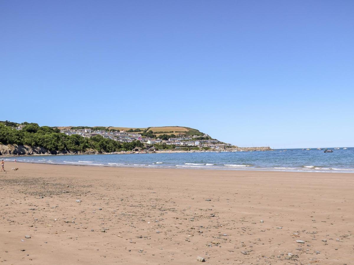 Apartment Cwtsh Cragen New Quay (Ceredigion)