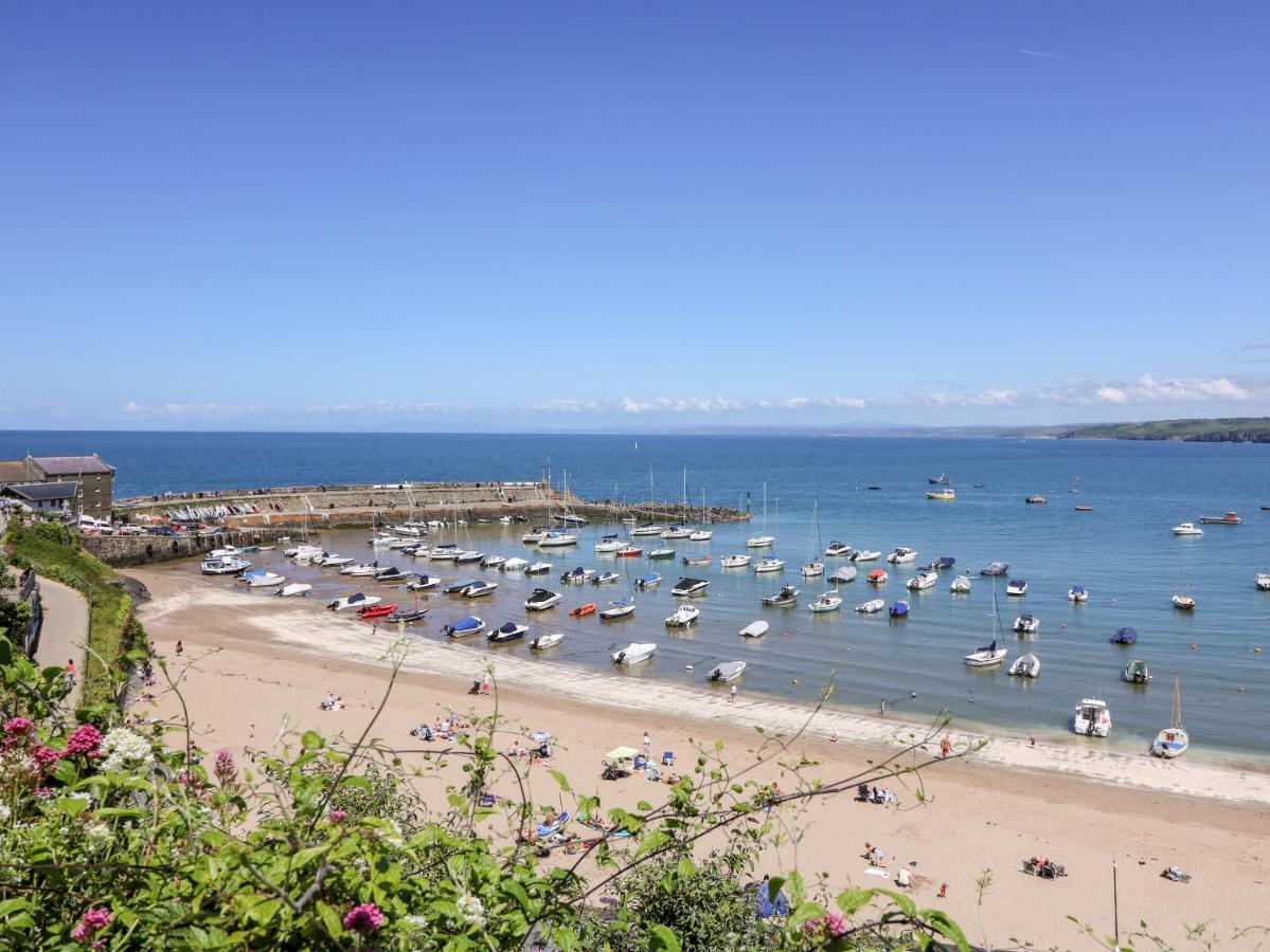 Cwtsh Cragen Apartment New Quay (Ceredigion)